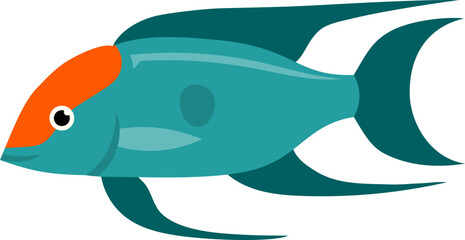 side view of freshwater fish illustration.