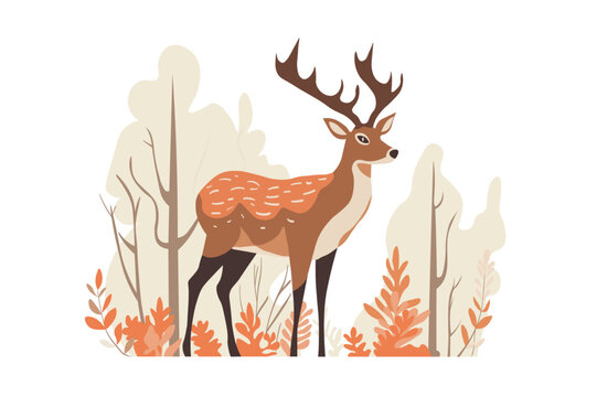 Deer in the forest