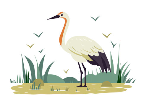 Crane in natural environment