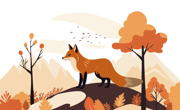 Fox in the mountains