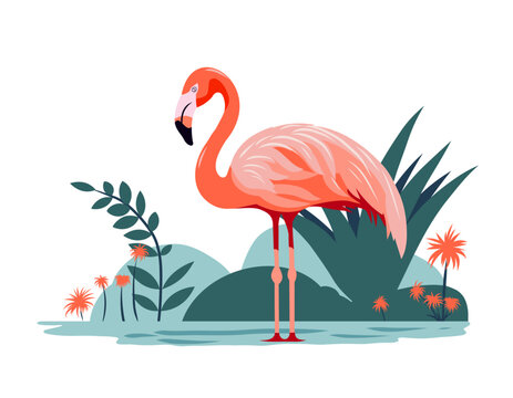 Flamingo in the water