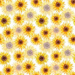 Floral seamless watercolor pattern with sunflowers on white background. Romantic summer hand drawn background