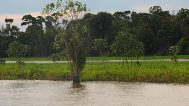 sailing The Amazon River in South America during sunset 