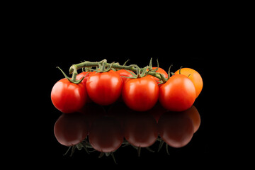 Branch of cherry tomato Isolated on black background. Fresh cherry tomatoes isolated on black. Tomato isolated.