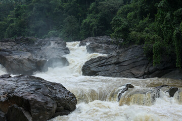 Waterfall Gorge with rocky vaults covered with lush foliage plants nearby beautiful Indian Kerala waterfall in tropical forest on Munnar Idukki India.	