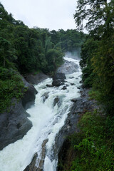 Obraz premium Waterfall Gorge with rocky vaults covered with lush foliage plants nearby beautiful Indian Kerala waterfall in tropical forest on Munnar Idukki India. 