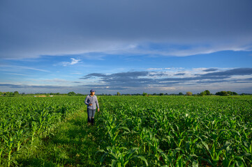 Fototapeta na wymiar Farmer in Asian corn field or agronomist Checking the health of the corn plants in the field.