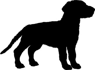  Irish Wolfhound Dog puppies silhouette. Baby dog silhouette. Puppy