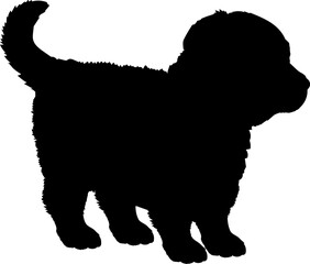 Bernese Mountain Dog puppies silhouette. Baby dog silhouette. Puppy
