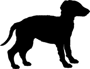 Borzoi Dog puppies silhouette. Baby dog silhouette. Puppy