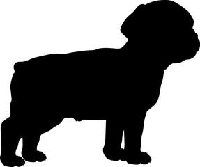 Boston Terrier Dog puppies silhouette. Baby dog silhouette. Puppy