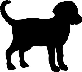 Chesapeake Bay Retriever. Dog puppies silhouette. Baby dog silhouette. Puppy