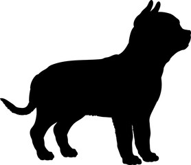 Chihuahua Dog puppies silhouette. Baby dog silhouette. Puppy