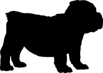  English Bulldog Dog puppies silhouette. Baby dog silhouette. Puppy
