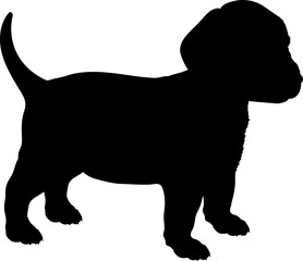 Flat Coated Retriver Dog puppies silhouette. Baby dog silhouette. Puppy
