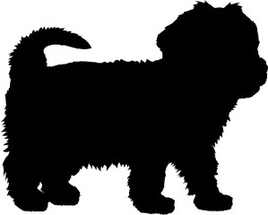 Yorkshire Terrier. Dog puppies silhouette. Baby dog silhouette. Puppy