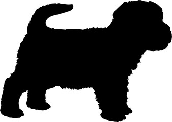 Norwich Terrier Dog puppies silhouette. Baby dog silhouette. Puppy