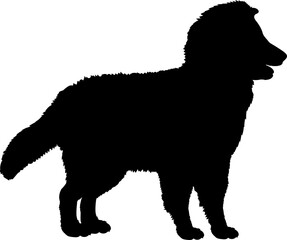  Shetland Sheepdog Dog puppies silhouette. Baby dog silhouette. Puppy