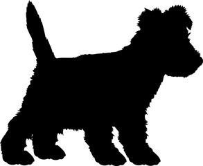 Scottish Terrier Dog puppies silhouette. Baby dog silhouette. Puppy