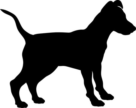 Miniature Pinscher Dog puppies silhouette. Baby dog silhouette. Puppy
