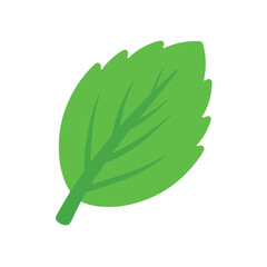 Flat Mint Leaf Icon Vector in Handdrawn Doodle Illustration for Summer Drink Ingredients © Yuni