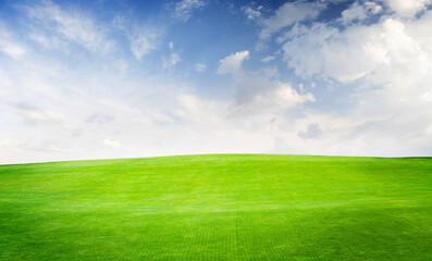Landscape with green grass field under a blue sky