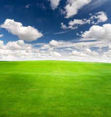 Landscape with green grass field under a blue sky