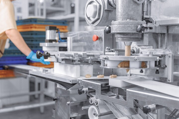 Modern production line of factory chocolate. Macro sweets candy on industry conveyor