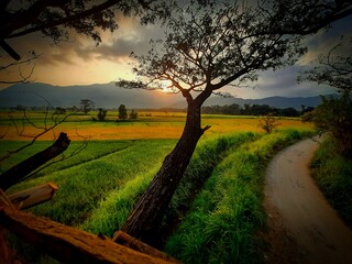 sunset in the countryside © Madhura