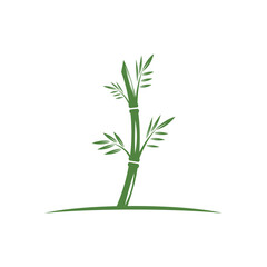 Fototapeta na wymiar Bamboo with green leaf logo ilustration vector template