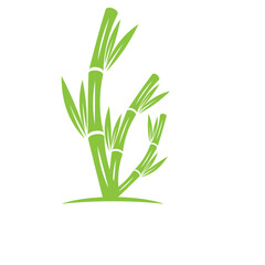 Bamboo with green leaf logo ilustration vector template