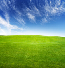 Landscape with green grass field under a blue sky
