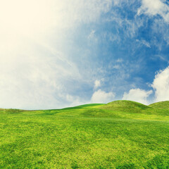 Landscape with green grass field under a blue sky