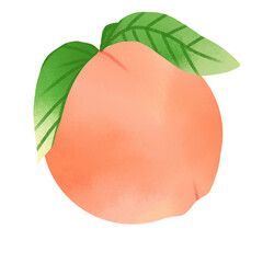 Peach fruit 