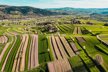 Spring Slovakia landscape. Nature fields with blooming cherries. Unique ecological land management. Polana region, Hrinova, Slovakia Europe. © Zedspider