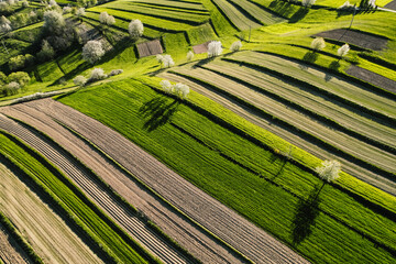 Spring Slovakia landscape. Nature fields with blooming cherries. Unique ecological land management. Polana region, Hrinova, Slovakia Europe. © Zedspider