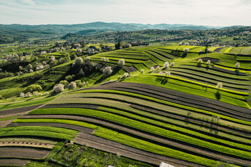 Spring Slovakia landscape. Nature fields with blooming cherries. Unique ecological land management. Polana region, Hrinova, Slovakia Europe. © Zedspider