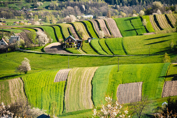 Spring Slovakia landscape. Nature fields with blooming cherries. Unique ecological land management. Polana region, Hrinova, Slovakia Europe. © Zedspider