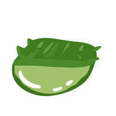 Realistic aloe vera vector illustration on white background