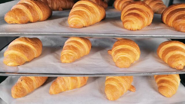Baked croissants are cooled. Baking at the bakery.