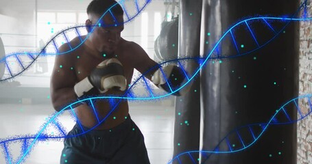 Animation of dna strands over african american man exercising in boxing gym - Powered by Adobe