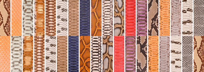 Natural snake skin in various color, luxury clothing accessories suitable for photo collage,...