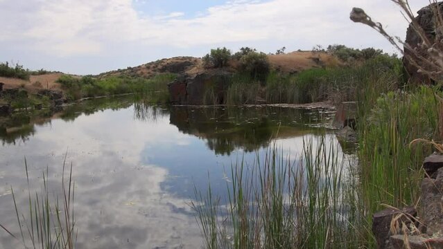 Not much happening as this serene pond surface reflects the sky