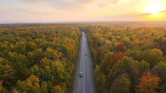Aerial view of rural road between lush forest with colorful canopies in autumn woods on sunny evening. Landscape of autumnal wild nature at sunset