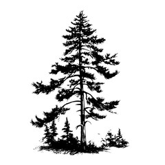Pine or Fire Tree Silhouette