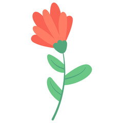 Spring Flower Illustration,