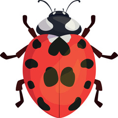 Ladybug top view red cute insect with black spots paws and antenna summer beetle vector flat