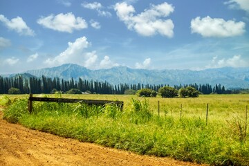 Obraz premium Dirt road in the countryside with blue sky white clouds and green grass with trees and mountains in background. Huleia National Wildlife Refuge, Kauai, Hawaii