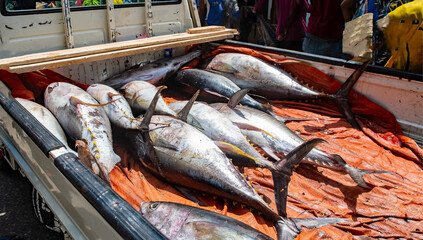 Thunfisch verkauf auf dem markt von sansibar, Tansania 
