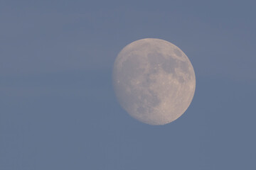 A clear view of the moon in a daytime sky. The moon is prominently visible with its craters and surface details highlighted against a soft blue background.